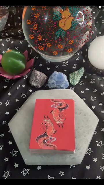 Foxfire Messages #shorts