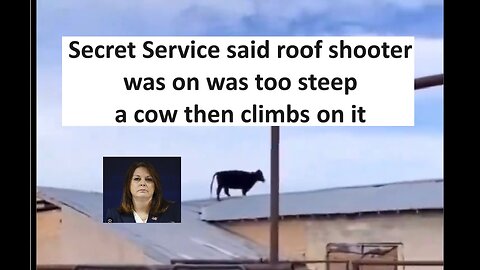 Secret service cow on roof, they claim they didn’t have someone on the roof since it was slopped