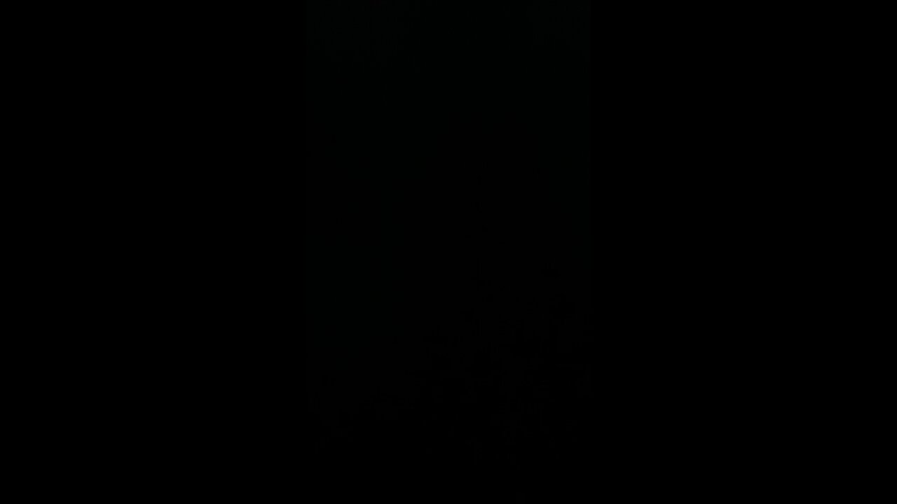 Sound money for everyone!