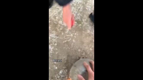 They lit a firework under a rock
