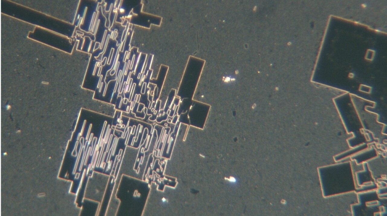 What are these images that can only be seen under a microscope?