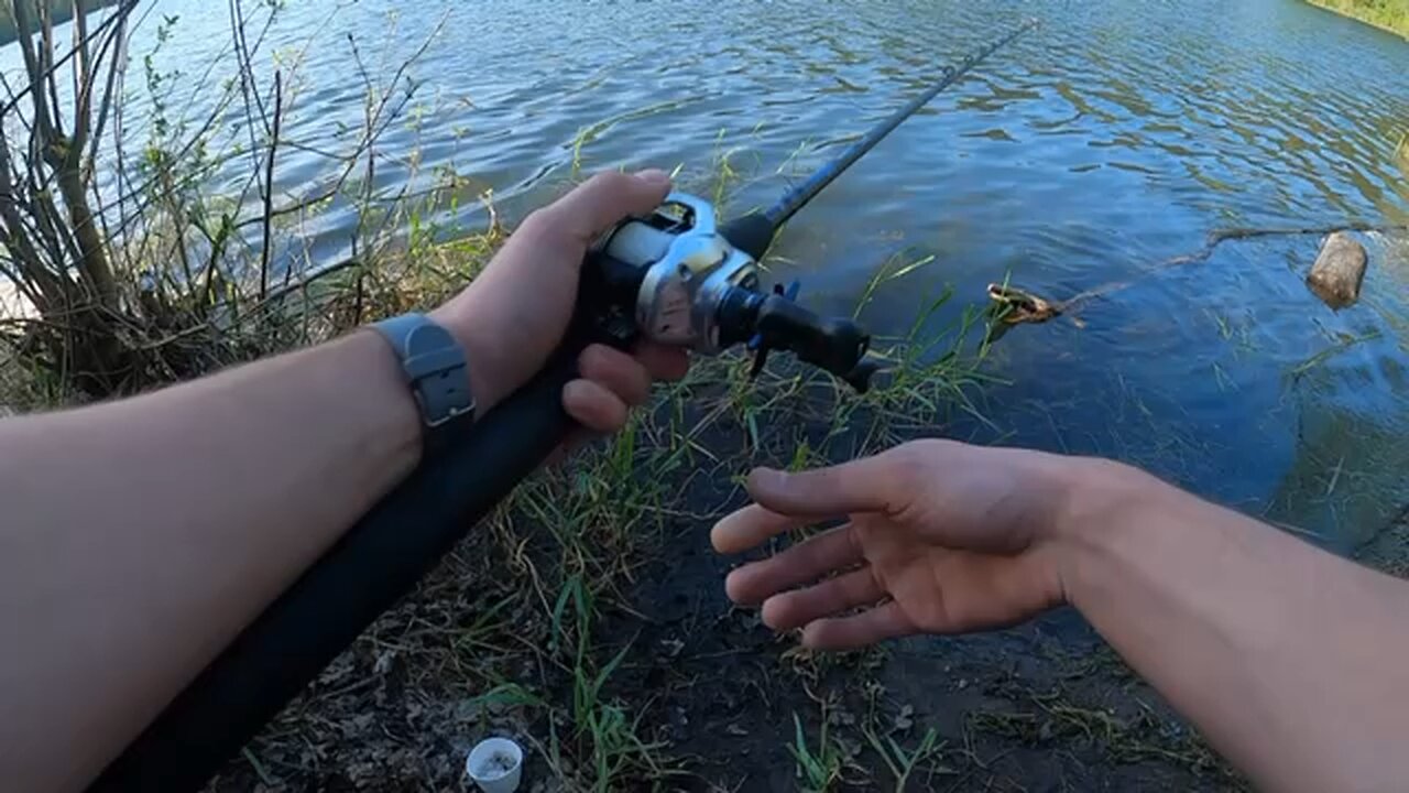 Swimbait cast to catch