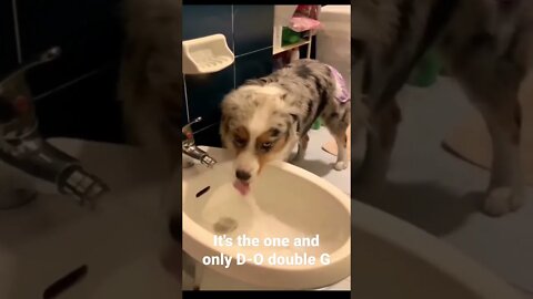 It's the one and only D-O double G #shorts