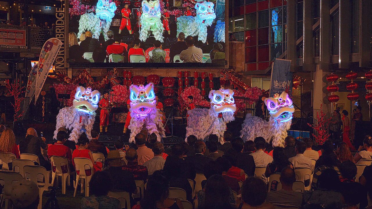 LED Lion Dance Drumming Chung Wah CNY Illuminated Chinese New Year Perth Australia
