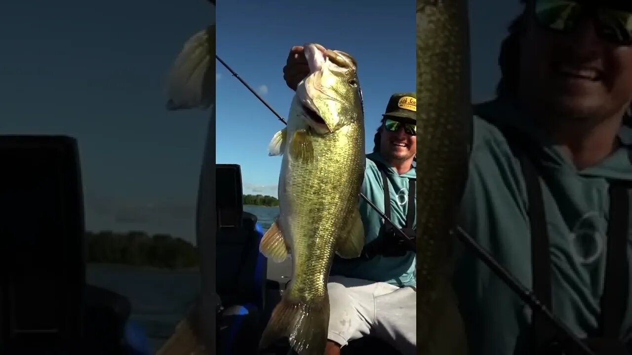 Ben Milliken catches a GIANT using the MAGNUM Flutter Spoon
