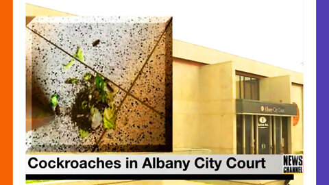 BLM Activists Release Hundreds of Roaches In Courthouse