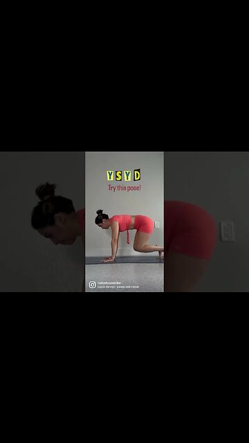 Yogi See Yogi Do. Your turn 🧘🏻‍♀️