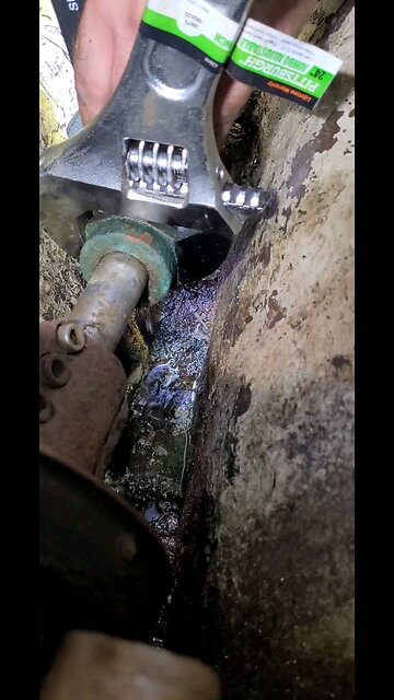 SV Covenant | Diesel Engine Maintenance | Yanmar 3QM