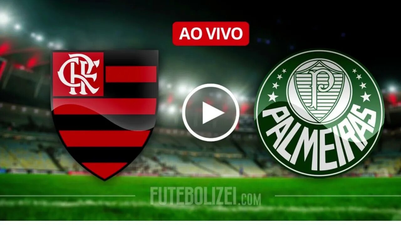 FLAMENGO X PALMEIRAS AO VIVO COM IMAGENS HD