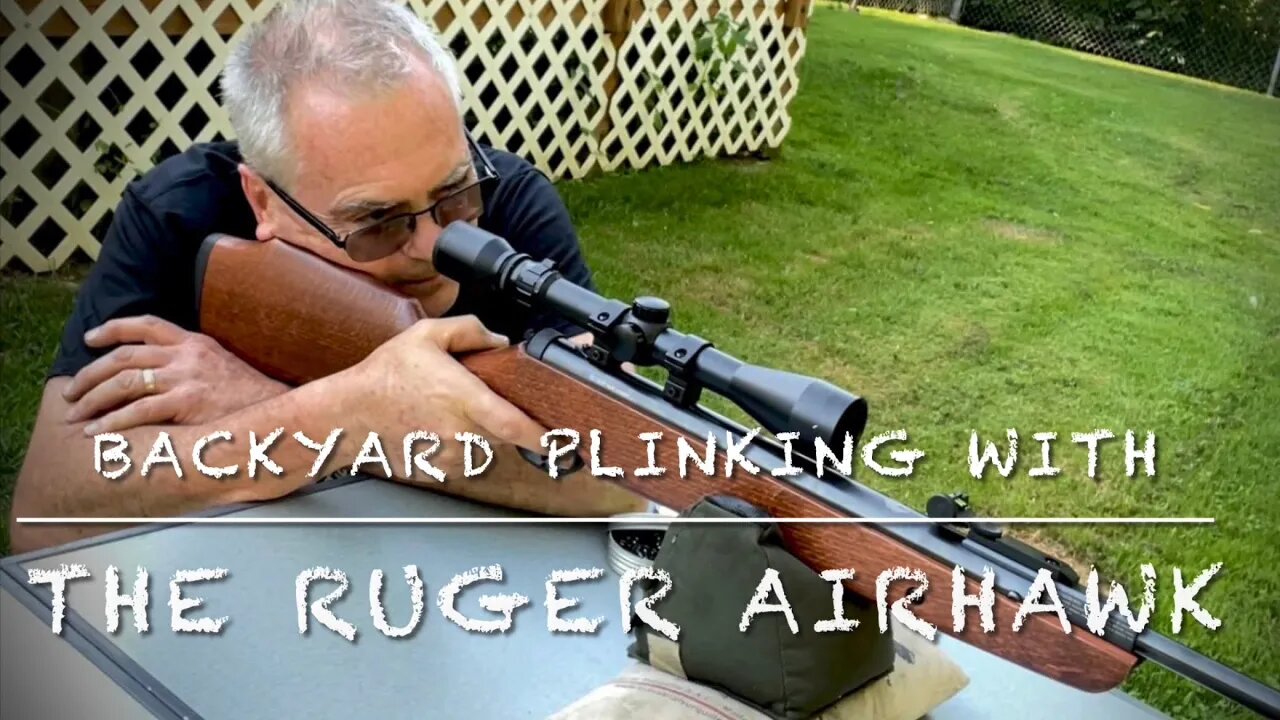 Backyard plinking with the Ruger Airhawk by Umarex RWS diabolo basics & JSB diabolo match pellets