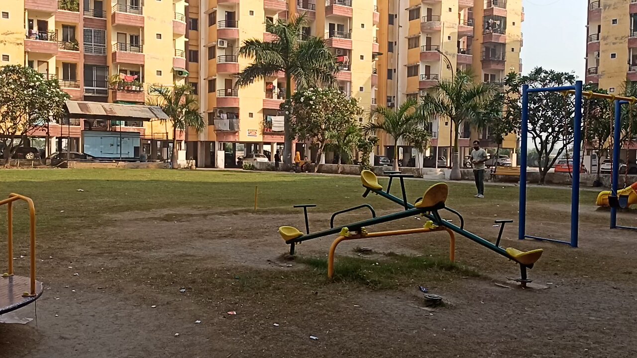 cricket with kid