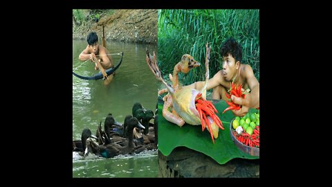 survival in the rainforest, Find ducks to cook , duck So Delicious