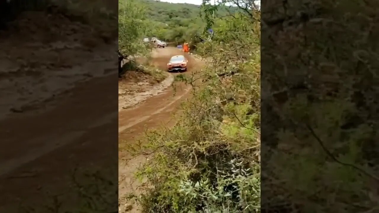 POR FAVOR INSCREVA ME AJUDA - PLEASE SUBSCRIBE HELP ME