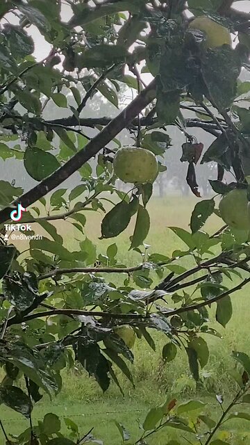 The older you get...