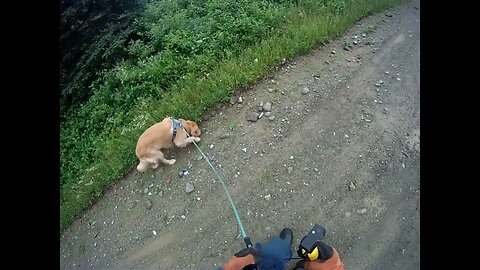 July 15th, 67º, late start due to rain. Short video as Flynn took care of business early.