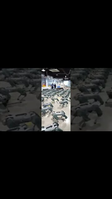 Unitree Go1 is a new generation #robot dog that can reach a speed of 17 km #shorts