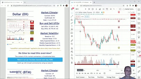 AutoUFOs 3-D Market Commentary (Becky Hayman) 2021 Feb-22