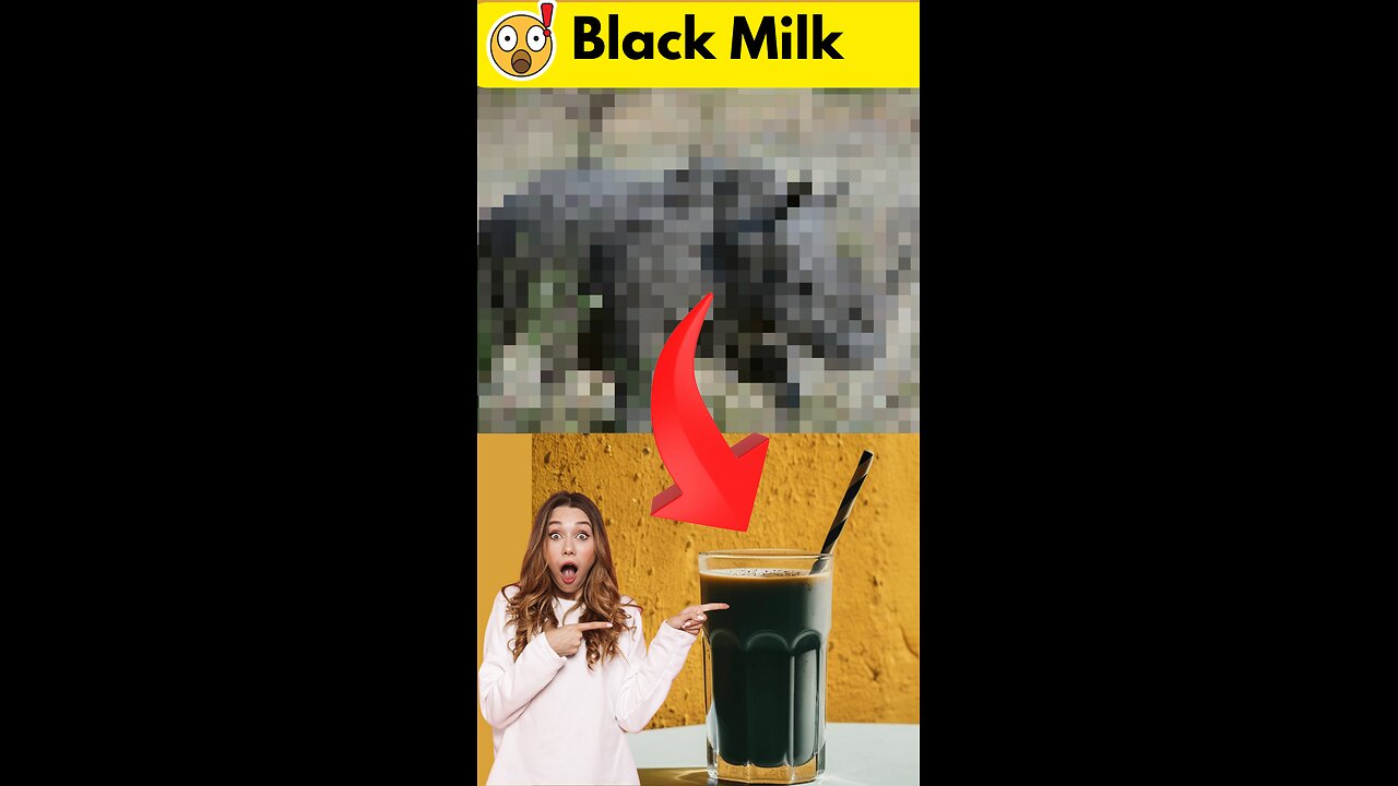 Animal That Gives Black Milk!!