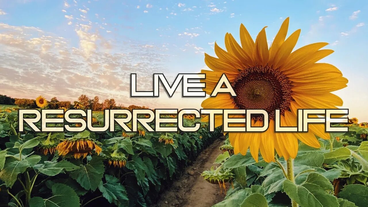Reg Kelly - Live a Resurrected Life