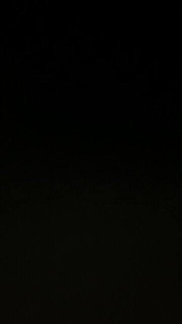 Locking up political opponents