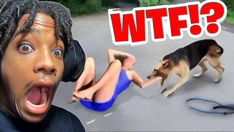 When Animals get REVENGE on Karens! | Vince Reacts