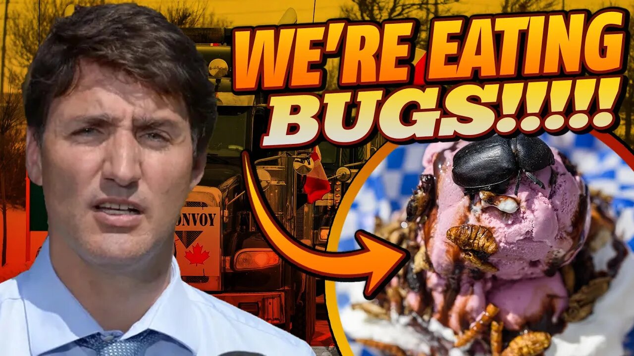 YUCK! The Government Has Us Eating Bugs