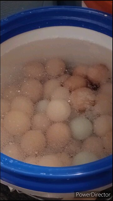 How Many Water Glassed Eggs Fit in a 5 Gal Bucket?