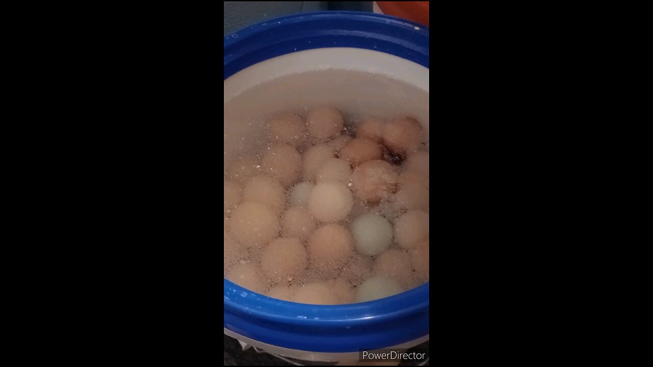 How Many Water Glassed Eggs Fit in a 5 Gal Bucket?