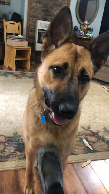 Maggie doing a cool trick