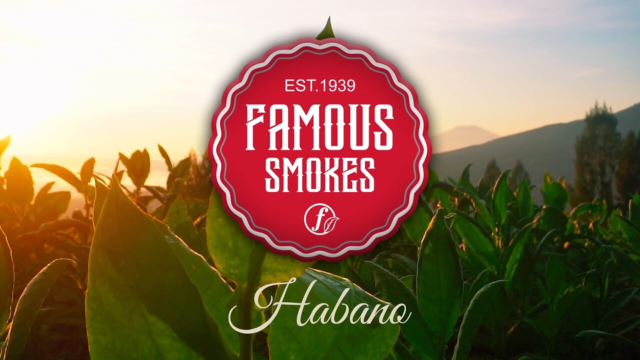 Famous Smokes Habano