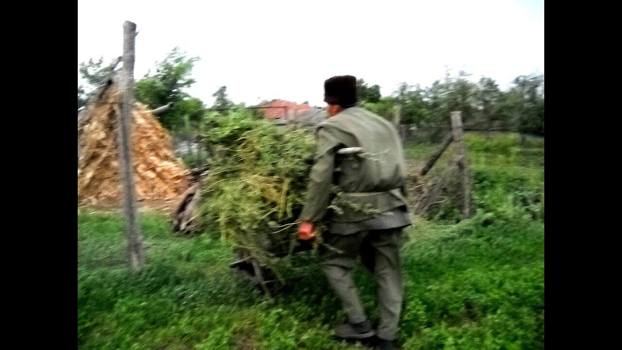 Enache Dedu - Un om gospodar [Laborator rustic - Agricultura la ea acasă]