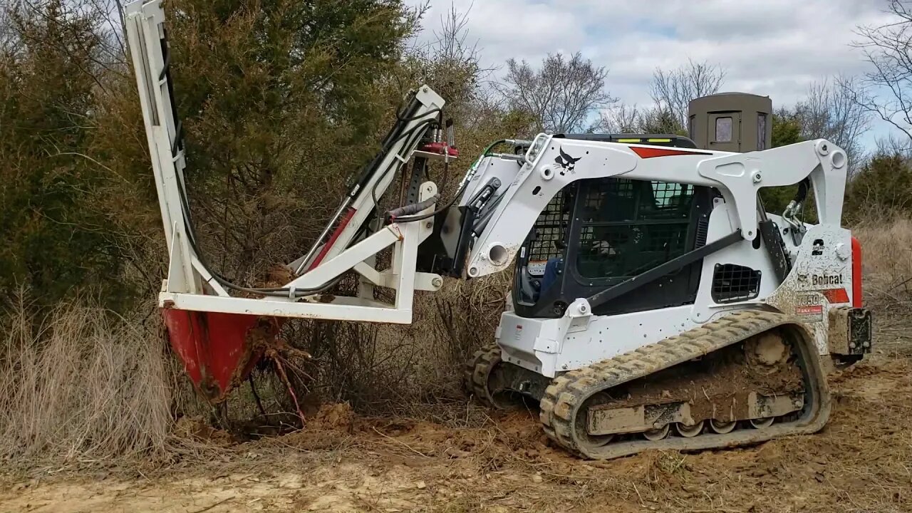 Bobcat T650 tree spade spading & moving cedar trees IL Homestead