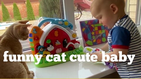 funny cat cute baby Masti