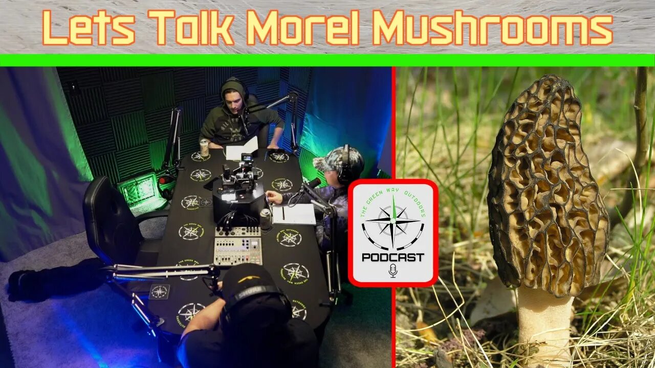 The Green Way Outdoors Team Talk Morel Mushrooms - TGWO Podcast Clips