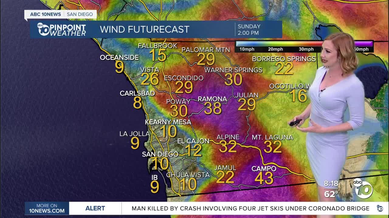 ABC 10News Pinpoint Weather with Meteorologist Leah Pezzetti