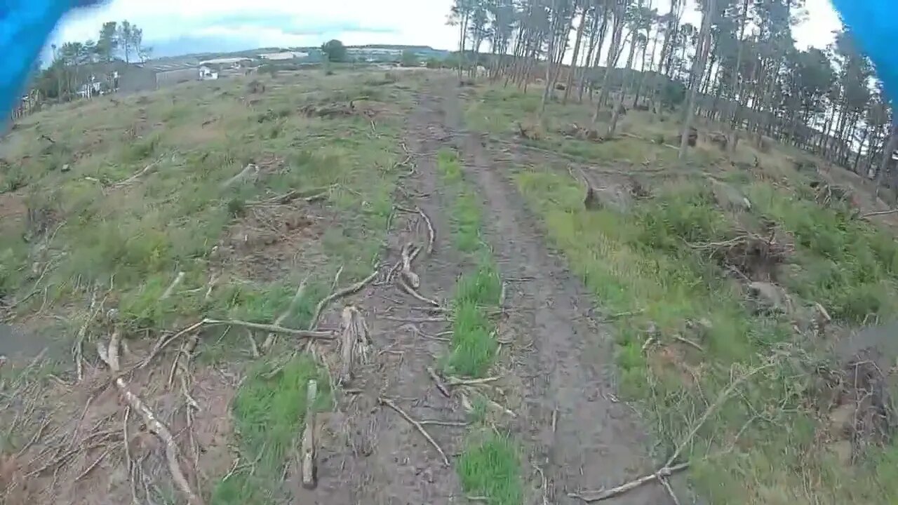 stick time in the woods