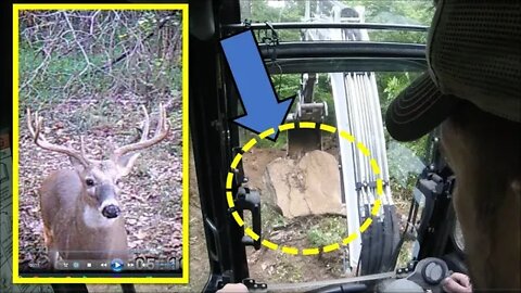 Land management, fresh air, Trail Cams, CRP, Bucks & excavator work! :)