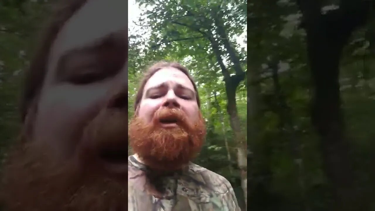 Bugs are bad, m'kay