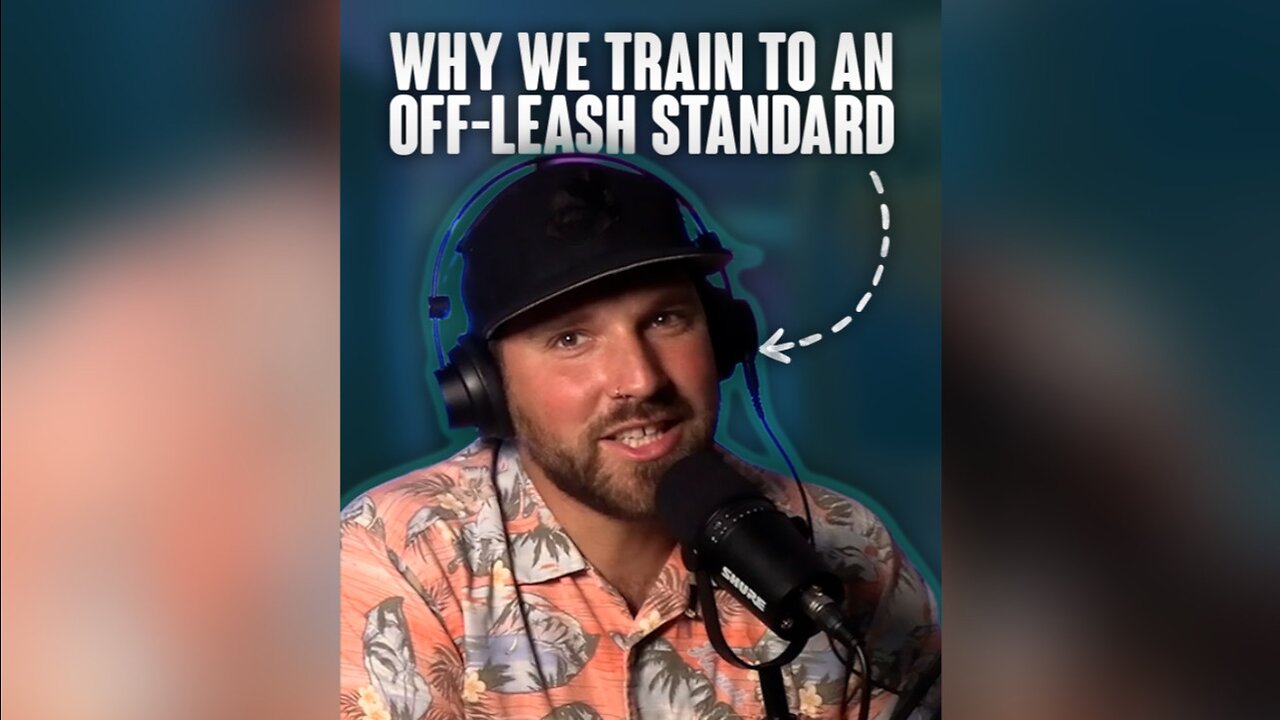 Why we train to an off leash standard