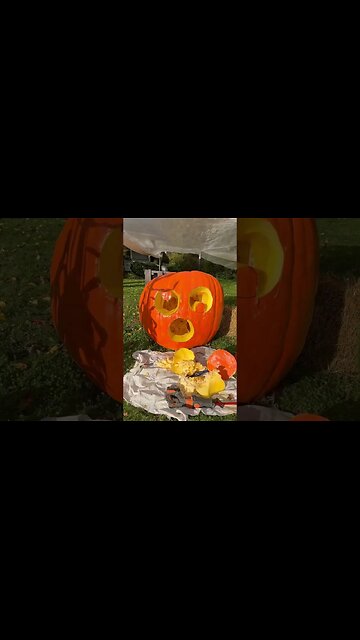 Sweet Pumpkin of mine #bubba #holloween #jackolantern