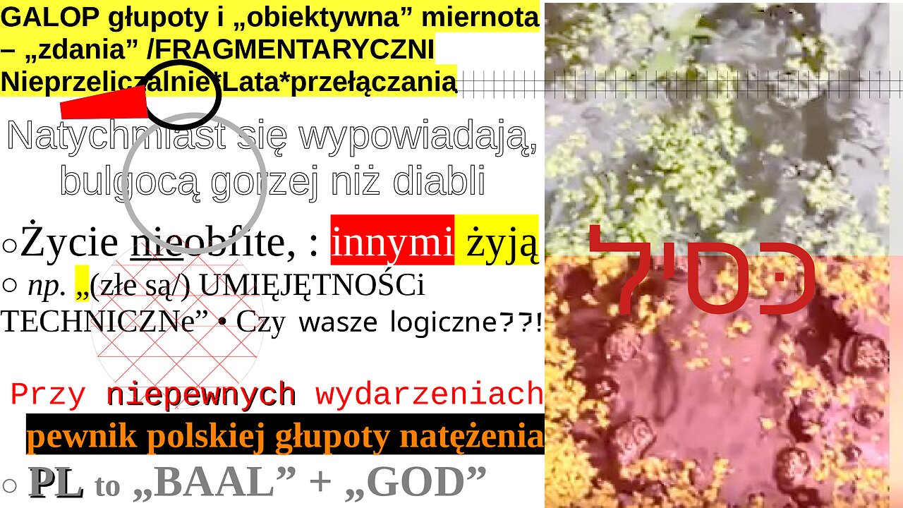 GALOP głupoty i „obiektywna” miernota – „zdania” /FRAGMENTARYCZNI Nieprzeliczalnie*Lata*przełączania