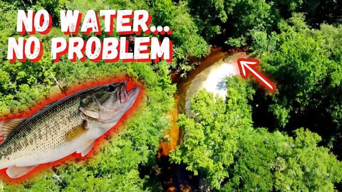 NO WATER...NO PROBLEM! (Catching Bass in a DRIED-UP RIVER)