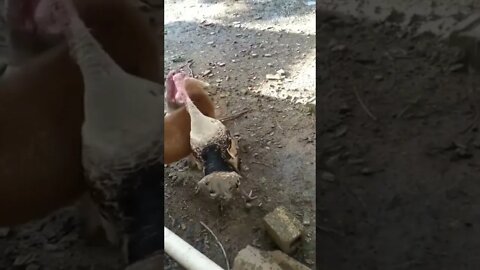 When you're tired of everyone's bullsht