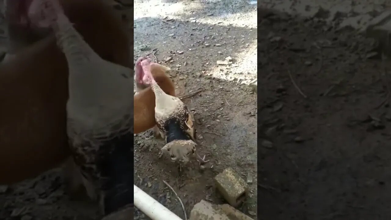 When you're tired of everyone's bullsht