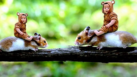 It's dangerous to climb trees