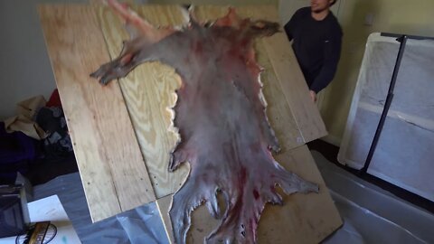 How To Tan A Hide | Whitetail Deer | Wild West Trail