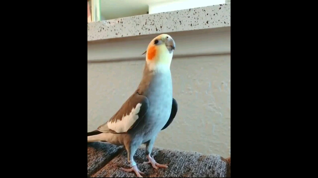 🫠😊🥰😘