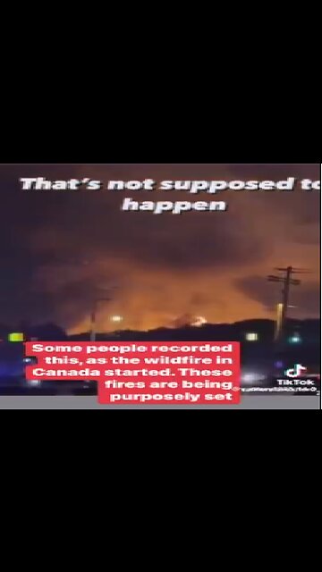 PROOF THAT THE FIRES WERE PURPOSELY SET IN CANADA - AN EXPLOSION IN THE FOREST?