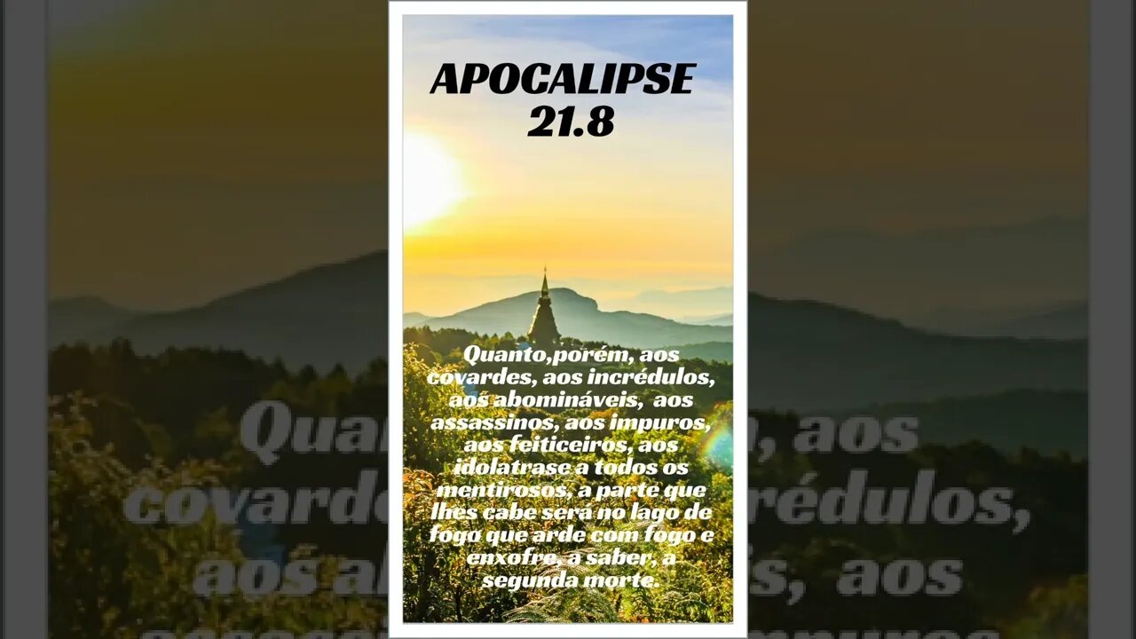 MENSAGEM DA TARDE.