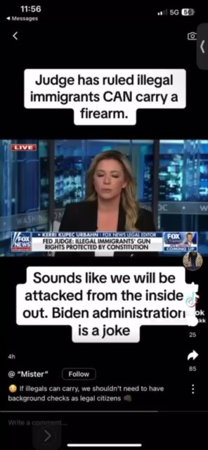 Judge has rule illegal immigrants have 2nd amendment Rights.